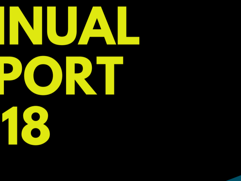 LebMASH Annual Report&nbsp;2018